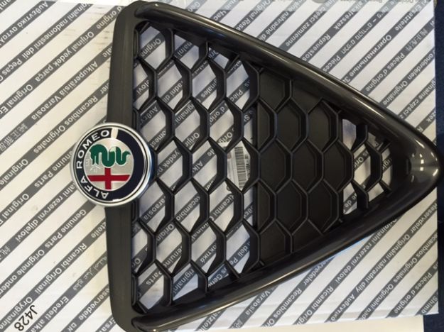 Picture of RADIATOR GRILLE