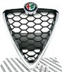 Picture of RADIATOR GRILLE